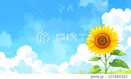 ひまわりと青空 ひまわりと青空 125988162