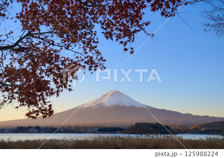 紅葉と晴天の秋の富士山 紅葉と晴天の秋の富士山 125988224
