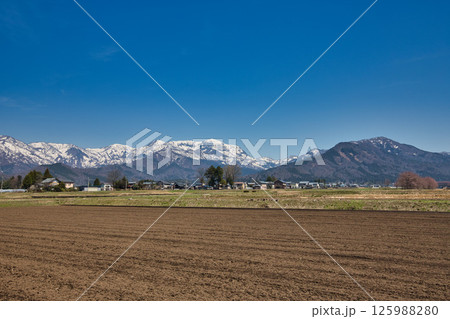 さくらと勝山城 125988280