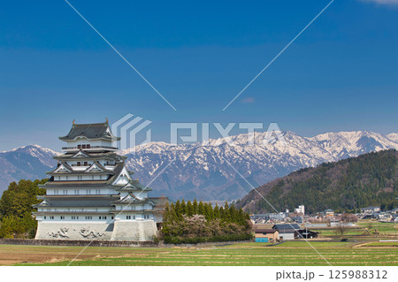 さくらと勝山城 125988312