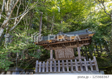 秩父三峯神社　秋の境内風景　社案内 125988367