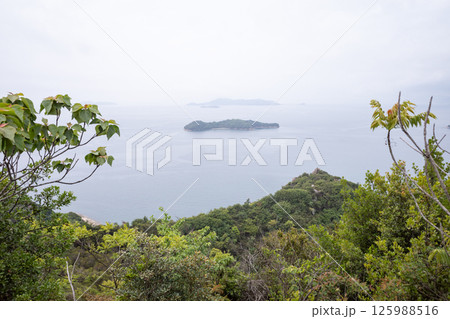 日本の岡山県笠岡市の白石島の美しい春の風景 125988516