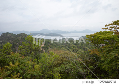 日本の岡山県笠岡市の白石島の美しい春の風景 日本の岡山県笠岡市の白石島の美しい春の風景 125988518