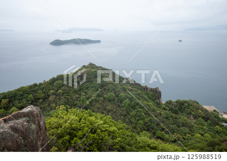 日本の岡山県笠岡市の白石島の美しい春の風景 日本の岡山県笠岡市の白石島の美しい春の風景 125988519