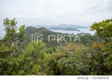 日本の岡山県笠岡市の白石島の美しい春の風景 日本の岡山県笠岡市の白石島の美しい春の風景 125988520