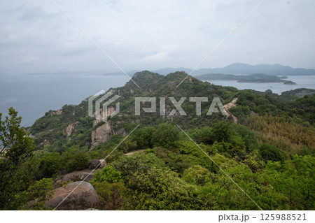 日本の岡山県笠岡市の白石島の美しい春の風景 日本の岡山県笠岡市の白石島の美しい春の風景 125988521