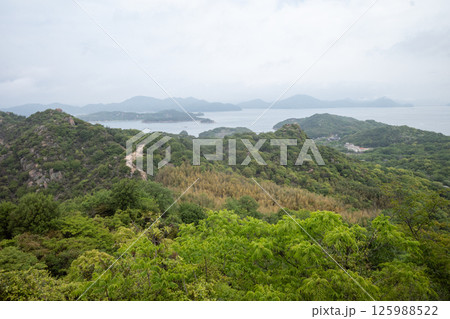 日本の岡山県笠岡市の白石島の美しい春の風景 日本の岡山県笠岡市の白石島の美しい春の風景 125988522