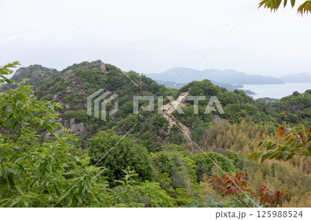 日本の岡山県笠岡市の白石島の美しい春の風景 日本の岡山県笠岡市の白石島の美しい春の風景 125988524
