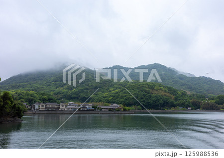 日本の岡山県笠岡市の白石島の美しい春の風景 125988536