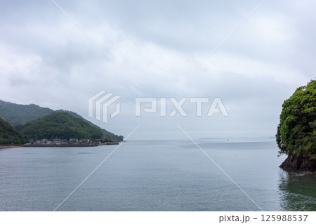日本の岡山県笠岡市の白石島の美しい春の風景 125988537