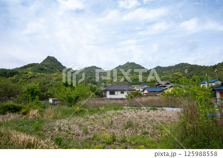 日本の岡山県笠岡市の白石島の美しい春の風景 125988558