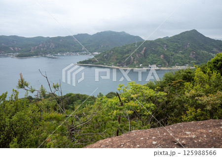 日本の岡山県笠岡市の白石島の美しい春の風景 125988566