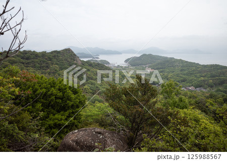 日本の岡山県笠岡市の白石島の美しい春の風景 日本の岡山県笠岡市の白石島の美しい春の風景 125988567
