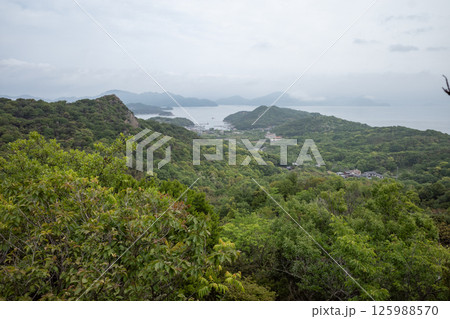 日本の岡山県笠岡市の白石島の美しい春の風景 125988570