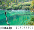 九塞溝にある神秘のエメラルドグリーンの池 125988594