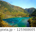 九塞溝の紅葉と透き通る湖 125988605