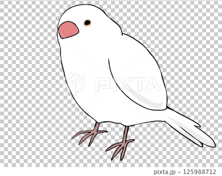 Colorful White Bunting 125988712