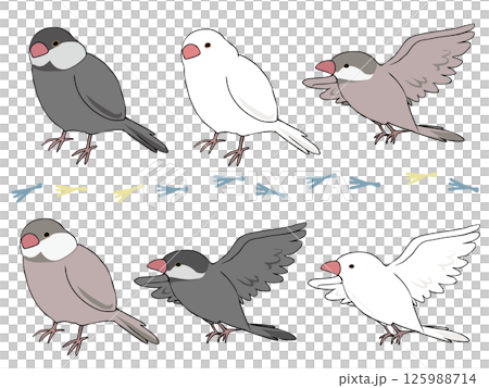 色とりどり 文鳥 まとめ 125988714