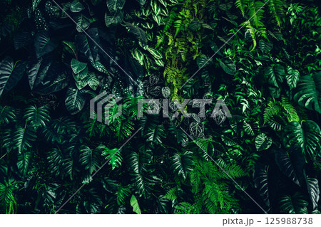 Herb wall, plant wall, natural green wallpaper and background. Herb wall, plant wall, natural green wallpaper and background. 125988738