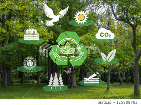 自然と調和するサステナブルイメージ 自然と調和するサステナブルイメージ 125988763