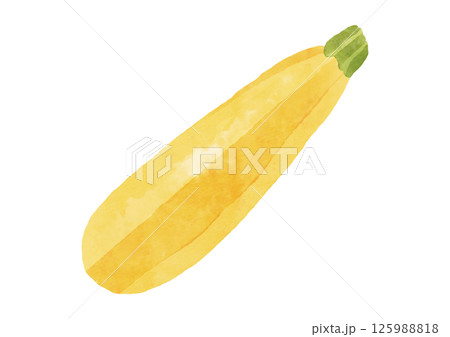 水彩風の黄色のズッキーニのイラスト 125988818