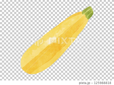 水彩風格的黃色西葫蘆插圖 125988818