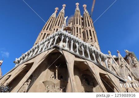 2025年 スペイン バルセロナ サクラダファミリア 正面 125988916