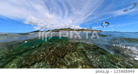 サンゴ礁の海 半水面 125988949