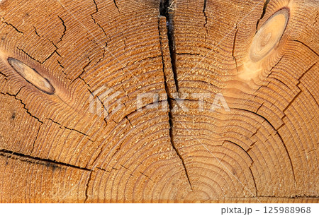 Wood texture background. Wood texture background. 125988968