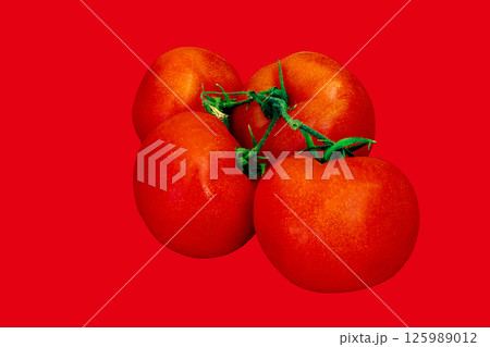 tomatoes on a red background tomatoes on a red background 125989012