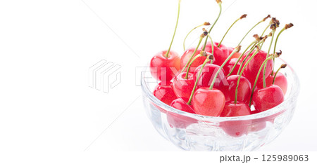 山形県産 高級 さくらんぼ 白背景 山形県産 高級 さくらんぼ 白背景 125989063