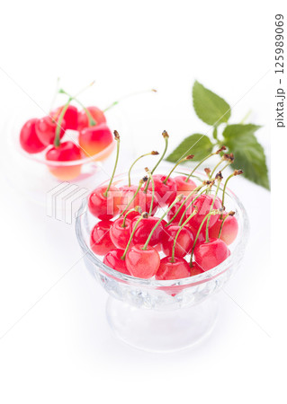 山形県産 高級 さくらんぼ 白背景 125989069