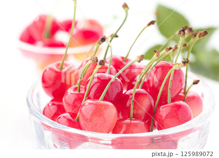 山形県産 高級 さくらんぼ 白背景 山形県産 高級 さくらんぼ 白背景 125989072
