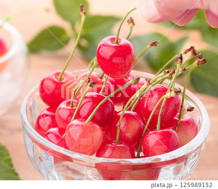 山形県産 高級 さくらんぼ 125989152