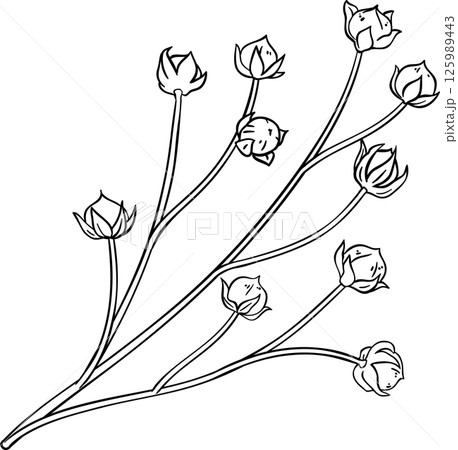 Flax Branch Colored Detailed Illustration. 125989443