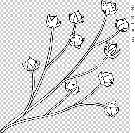 Flax Branch Colored Detailed Illustration. Flax Branch Colored Detailed Illustration. 125989443