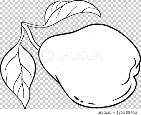 Pear Fruit Outline Illustration. Pear Fruit Outline Illustration. 125989452