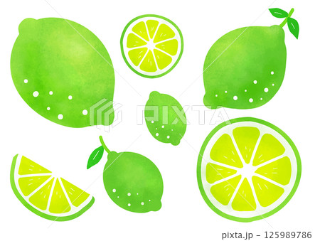 シンプルなライムのベクターイラストセット 125989786