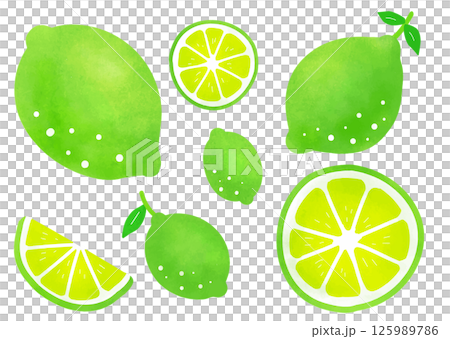簡單的石灰矢量插圖集 125989786