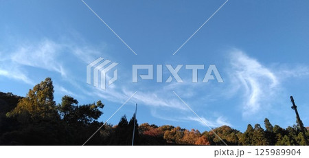 龍　竜　龍雲　自然 125989904