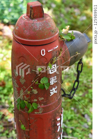 赤い消火栓 125989911