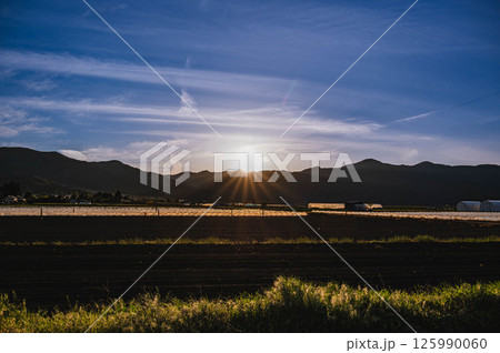 夕暮れ時の太陽が射す田園風景 山形村 夕暮れ時の太陽が射す田園風景 山形村 125990060