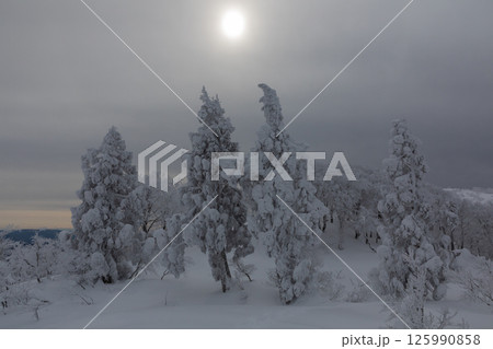 雪の樹林稜線（氷ノ山） 125990858