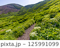 比羅夫コースから夏の羊蹄山山頂を目指す① 125991099