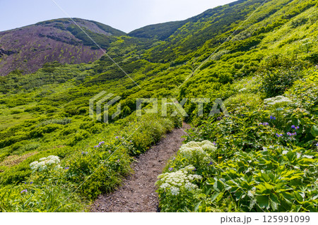 比羅夫コースから夏の羊蹄山山頂を目指す① 比羅夫コースから夏の羊蹄山山頂を目指す① 125991099