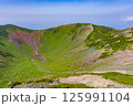 盛夏の羊蹄山の火口を見下ろす② 125991104