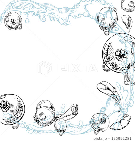 Cranberry lingonberry flying in water splash with green leaves and drops, ripe forest berry bearberry teaberry vector hand drawn in ink. Isolated square corner frame for cafe menu, farmers market Cranberry lingonberry flying in water splash with green leaves and drops, ripe forest berry bearberry teaberry vector hand drawn in ink. Isolated square corner frame for cafe menu, farmers market 125991281