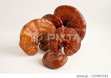 Lingzhi or Reishi mushroom with capsules, organic natural healthy food. Lingzhi or Reishi mushroom with capsules, organic natural healthy food. 125991381