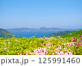 平戸市川内峠からの眺望50 125991460