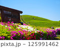 平戸市川内峠からの眺望52 125991462